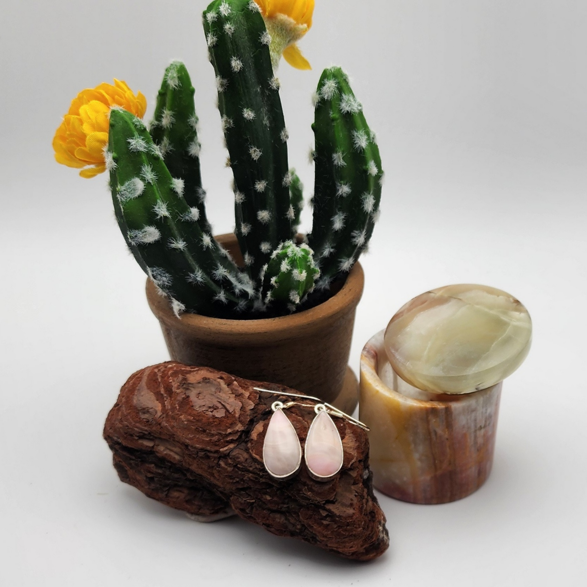 single pair of ice cream opal earrings displayed on a piece of wood. there is  small onyx jewelry box with an onyx lid behind and to the left of the earrings. there is a potted cactus with two yellow flowers to the right.